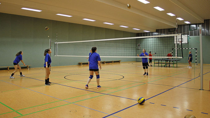 Volleyball und Tischtennis beim TSV Halle Süd